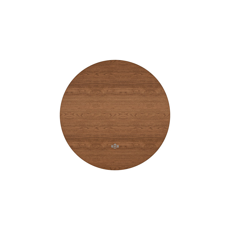 R1 Bluetooth Speaker Side Table CoolGeek